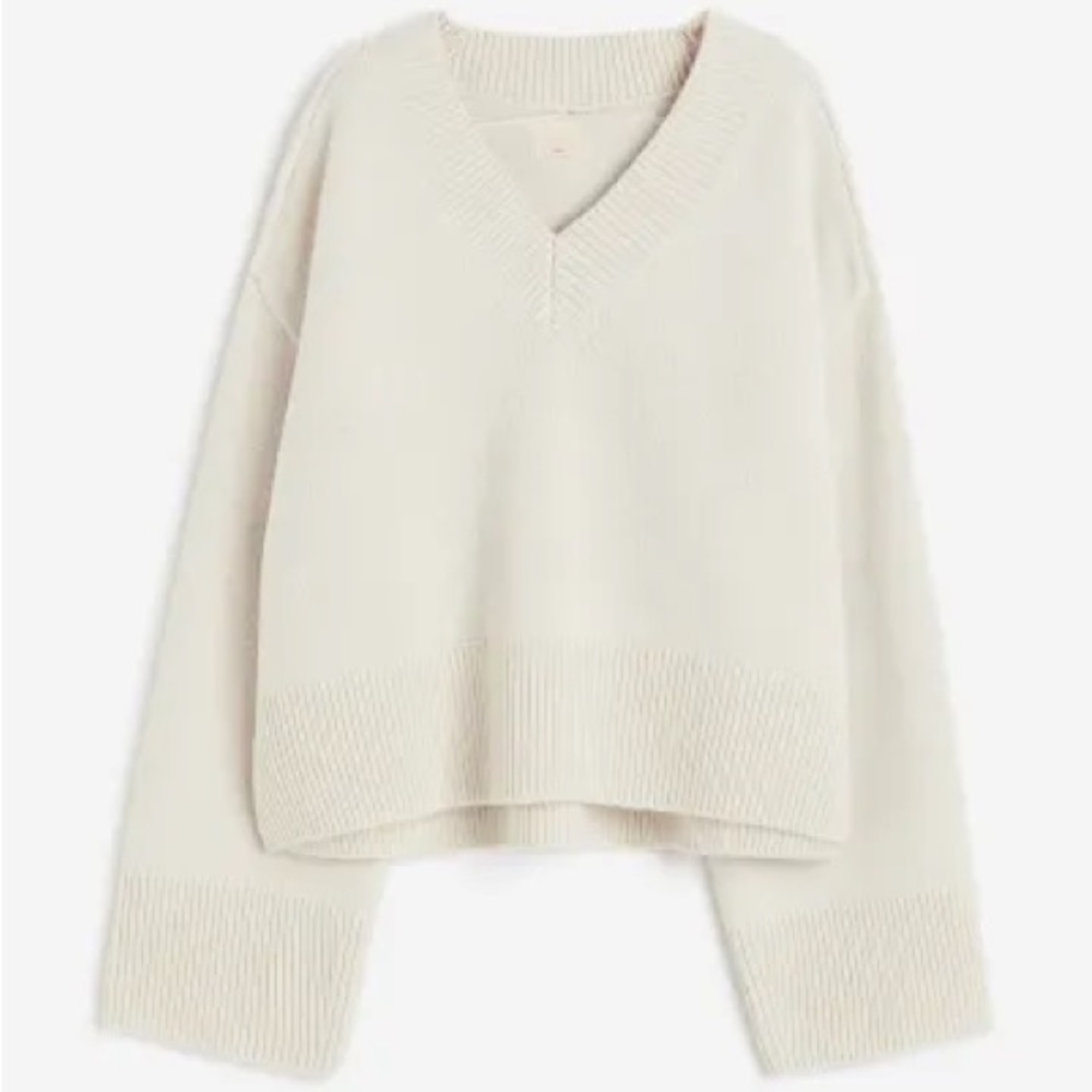 ISO! H&M Wool Oversized V Neck Sweater